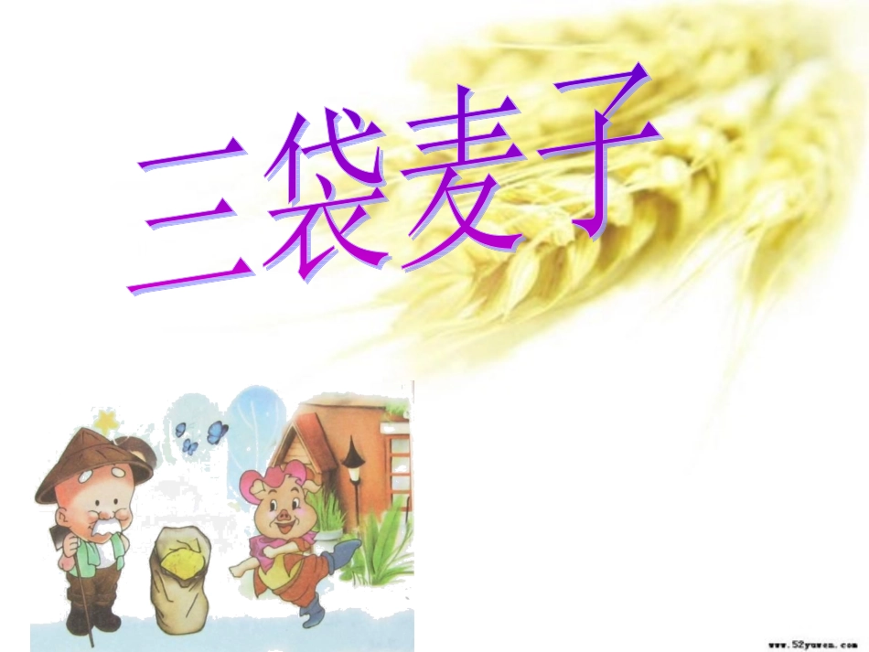 三袋麦子 (2)_第1页