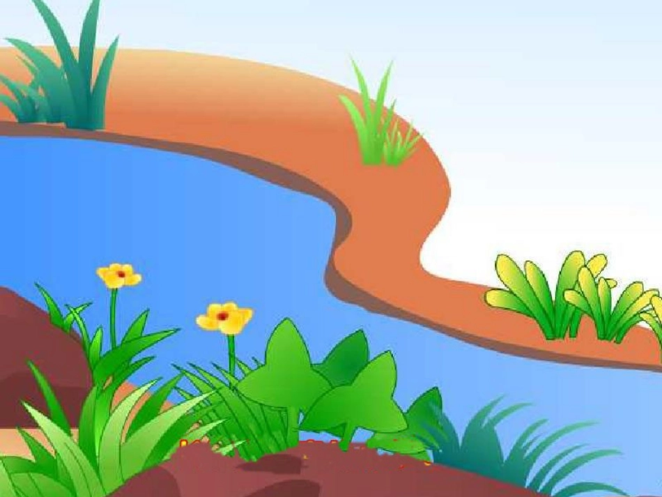 小河与青草课件_第3页