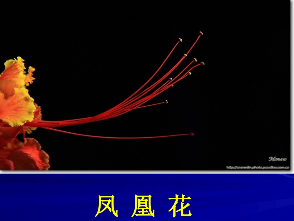 欢乐的泼水节 (4)_第3页