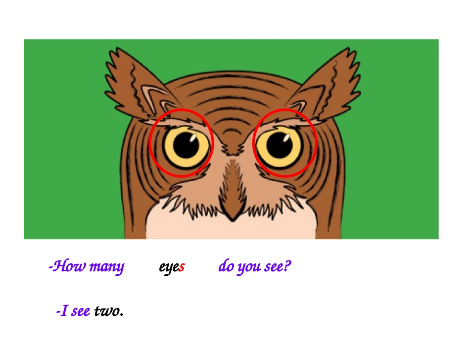 PEP三年级下册Unit6Howmany_第3页