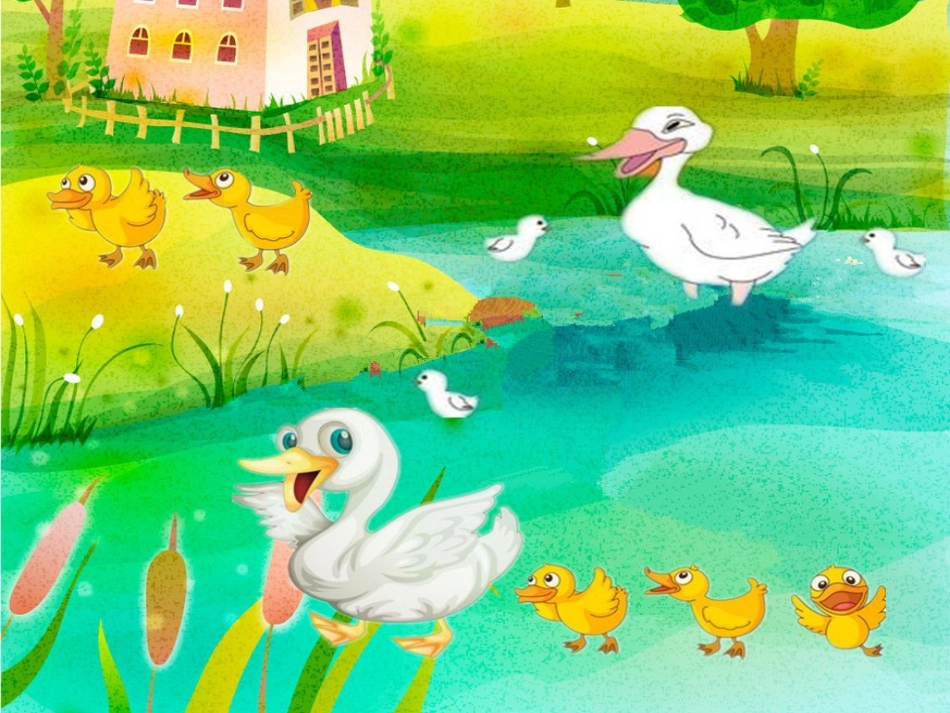 大班数学：比一比_第2页