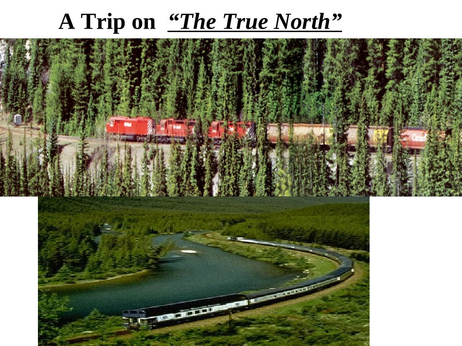 必修3unit5reading课件_第3页