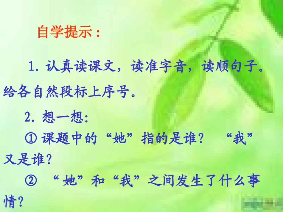 《她是我的朋友》课件2_第2页