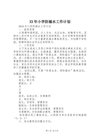 XX年小学防溺水工作计划