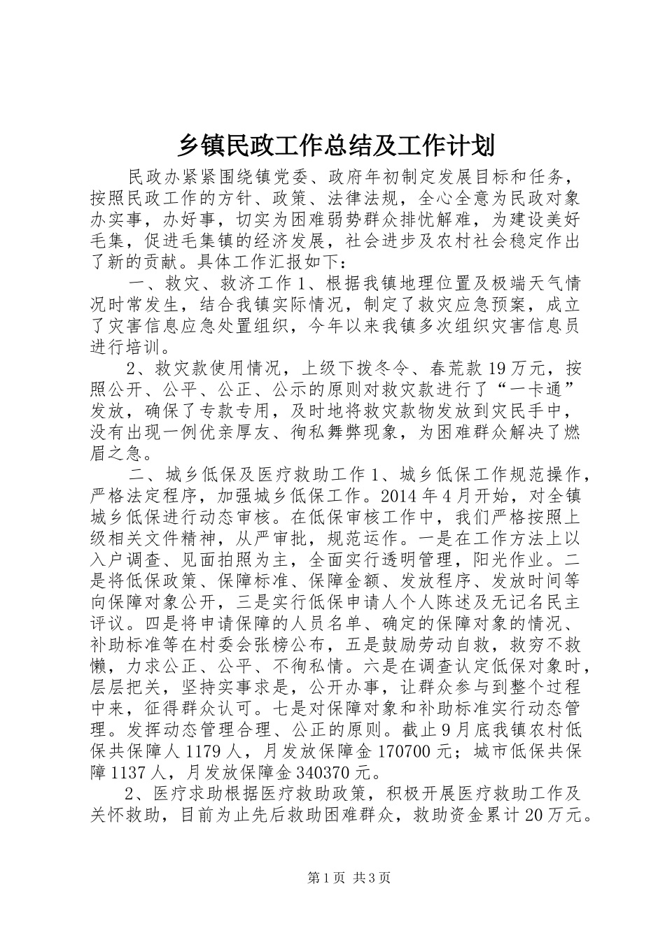 乡镇民政工作总结及工作计划_第1页