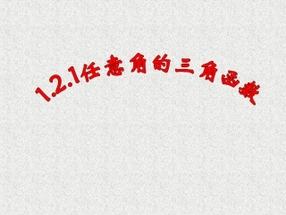 任意角的三角函数 (3)