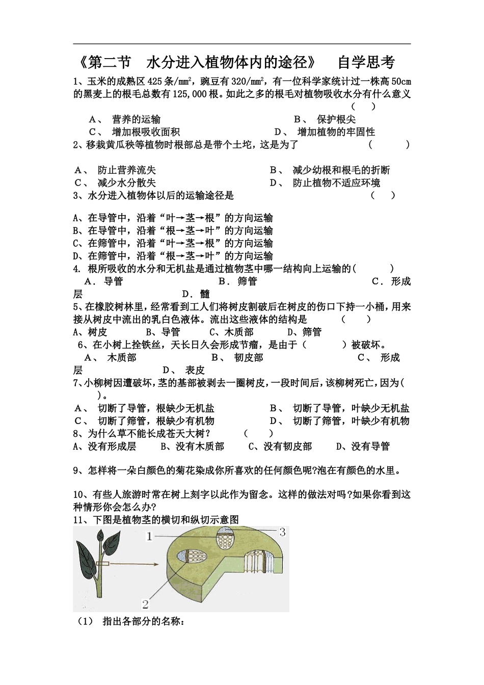 水分进入植物体内途径自学思考_第1页
