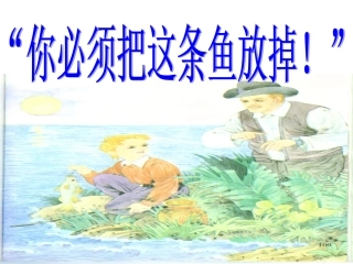 你必须把这条鱼放掉第一课时