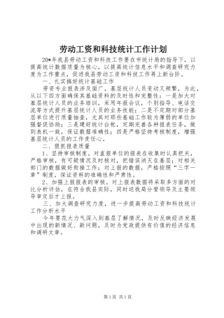 劳动工资和科技统计工作计划