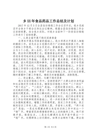 乡XX年食品药品工作总结及计划_1