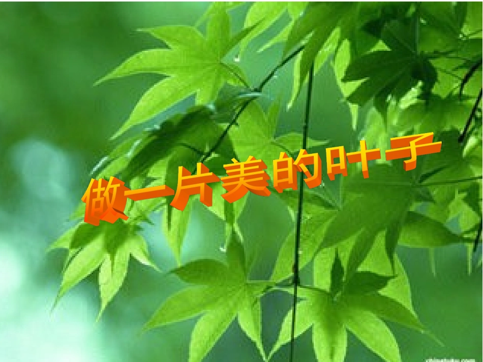 做一片美的叶子_第1页