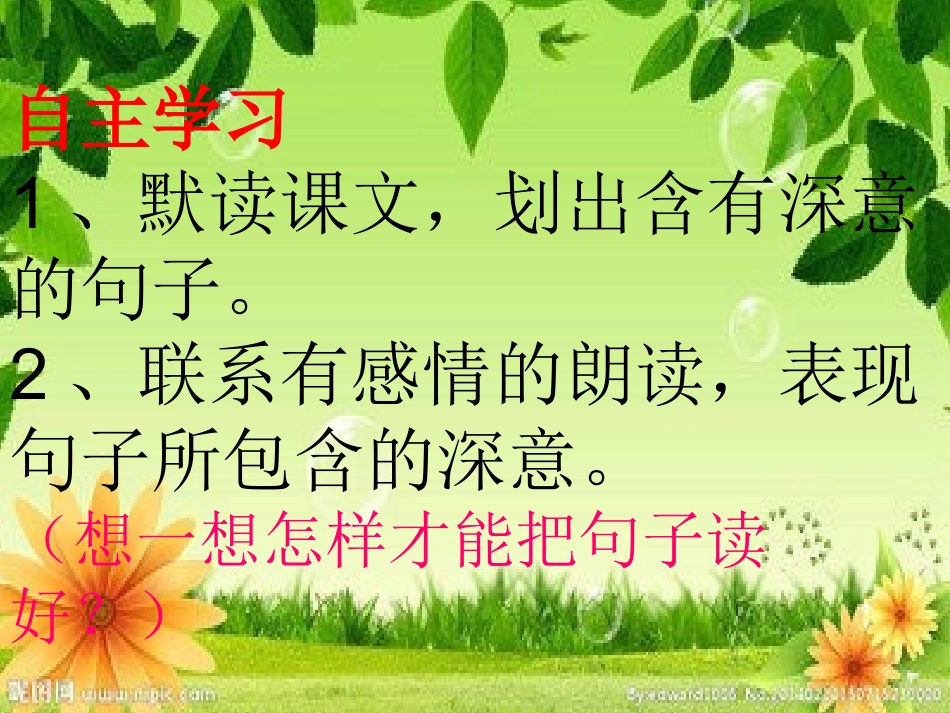 做一片美的叶子_第3页