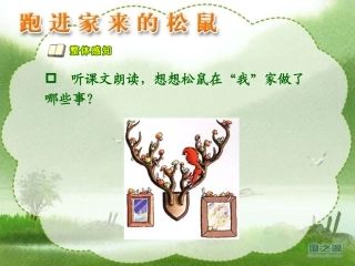 《跑进家来的松鼠》PPT课件