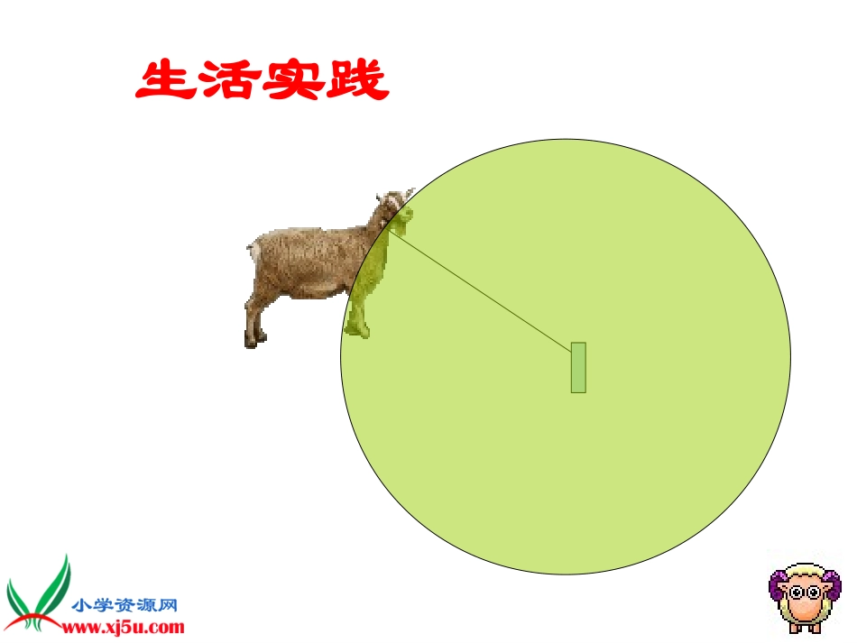 圆的认识第十册(五下)_第2页
