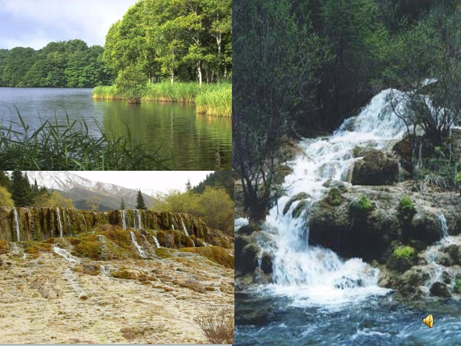 《林中小溪》PPT_第2页