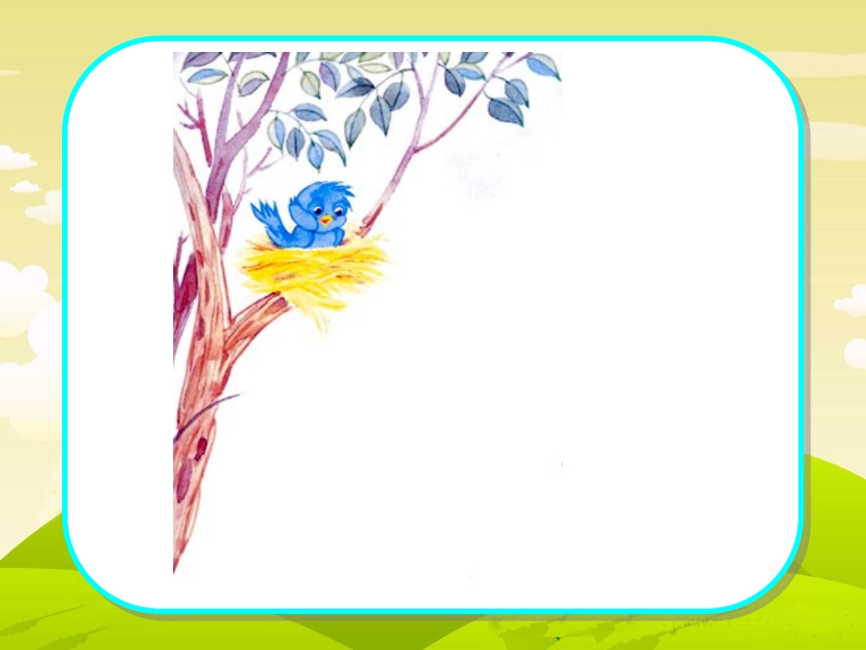 会走路的树 课件_第1页