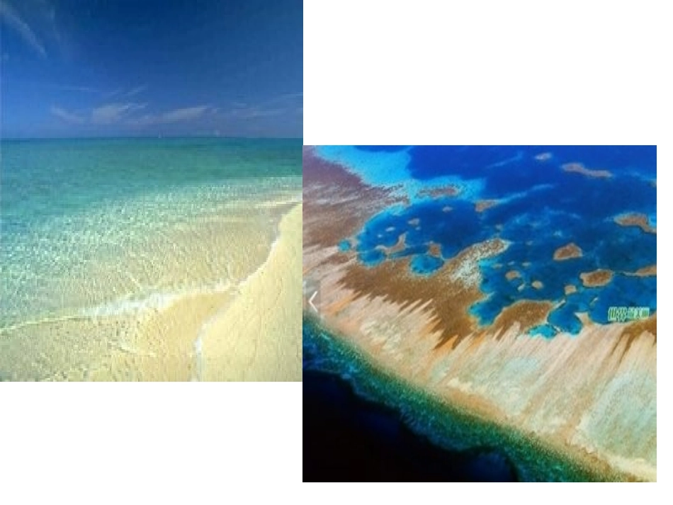 富饶的西沙群岛第一课时_第3页