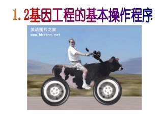 基因工程的基本操作程序