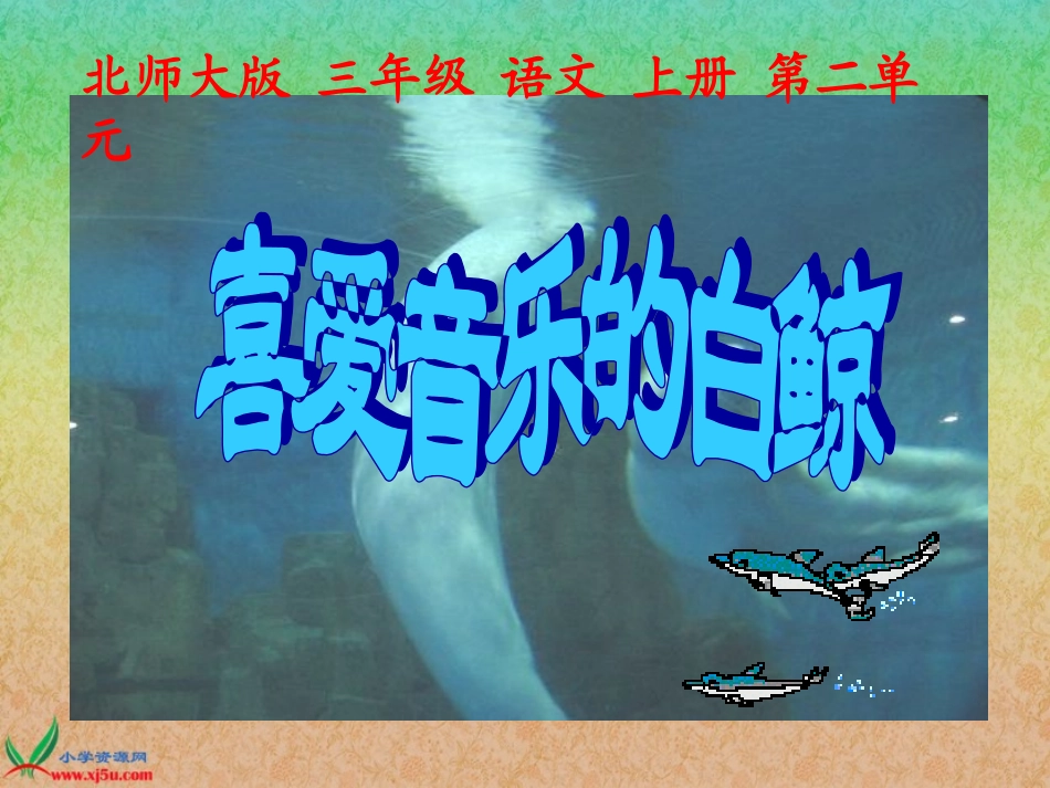 （北师大版三年级语文上册课件喜爱音乐的白鲸_第3页