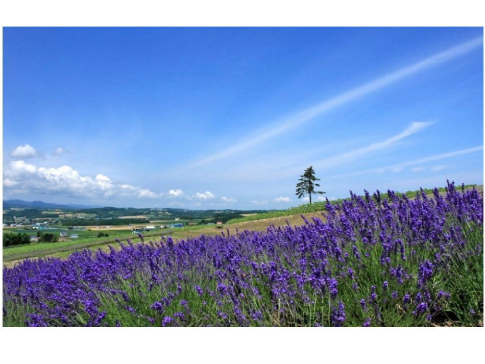 单元整体识字新_第2页