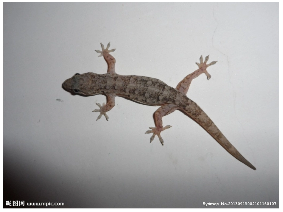 单元整体识字新_第3页