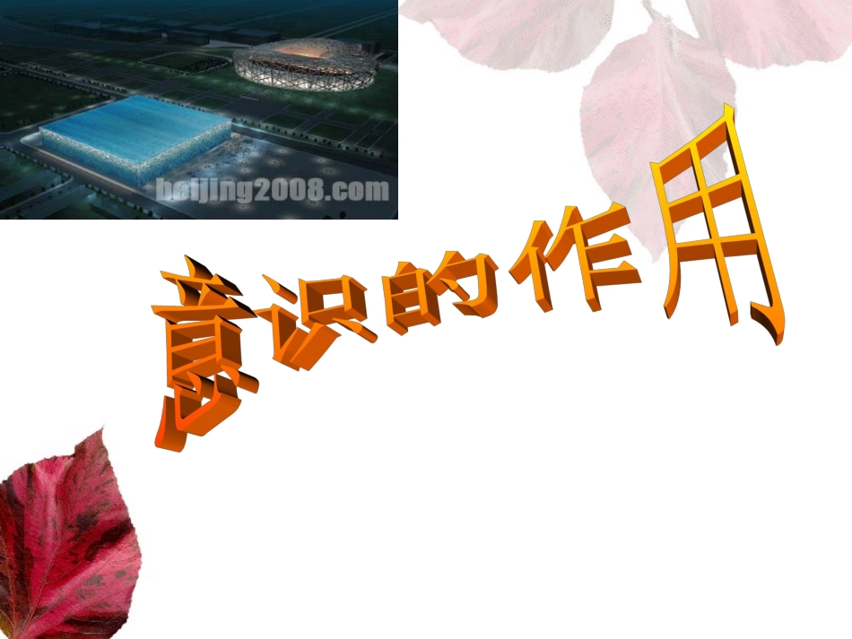 意识的作用课件_第1页