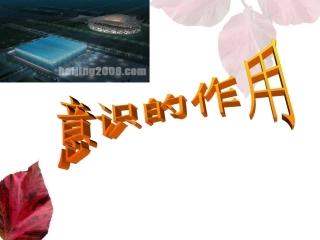 意识的作用课件