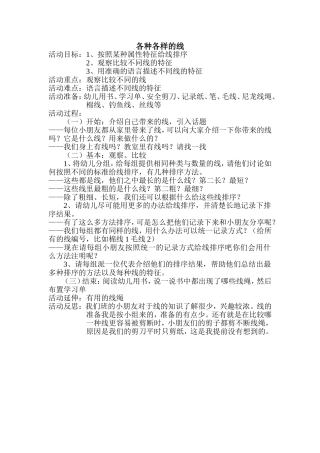 各种各样的线（大班