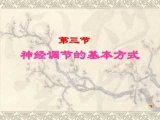《神经调节的基本方式》课件（1）