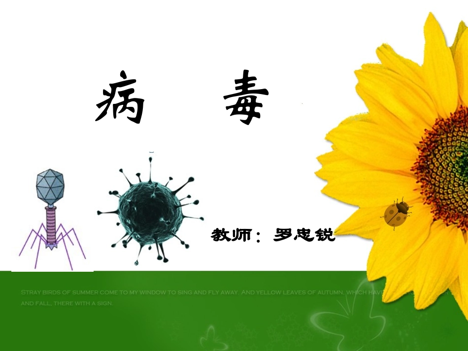 说课病毒罗忠锐_第1页