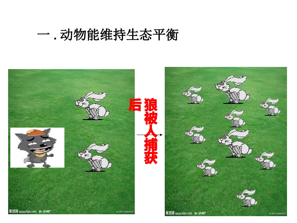 动物在生物圈中的作用vdd_第3页