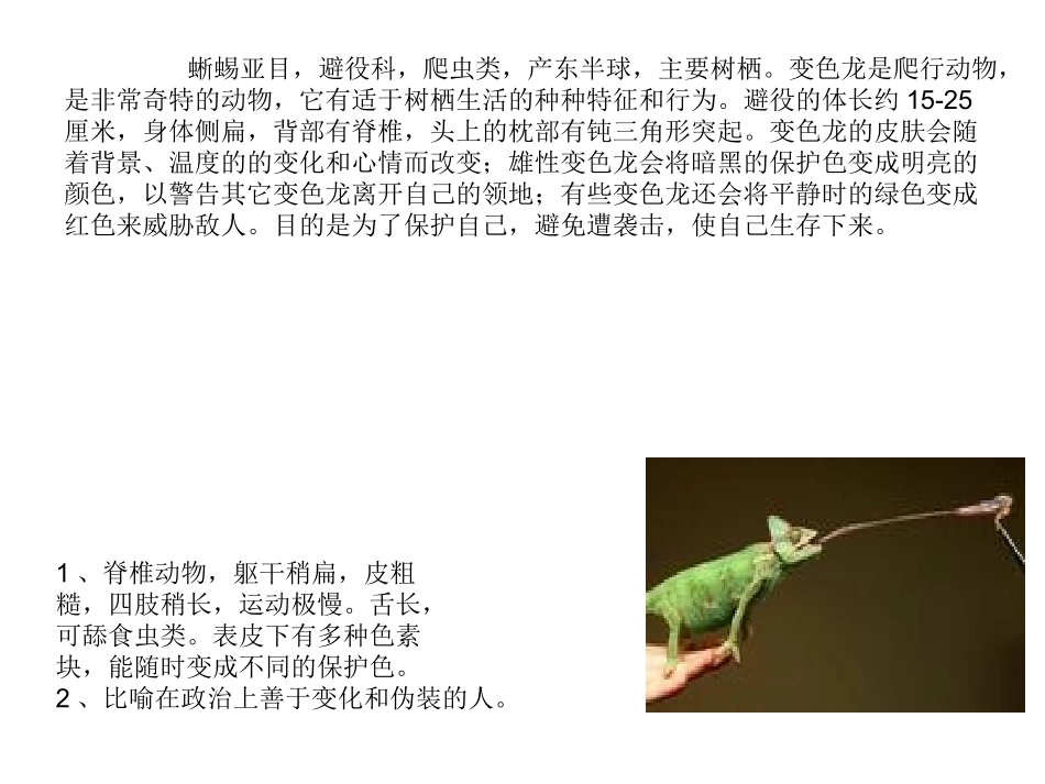 变色龙[整理版]_第3页