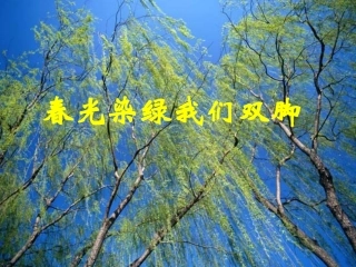 《春光染绿我们双脚》课件
