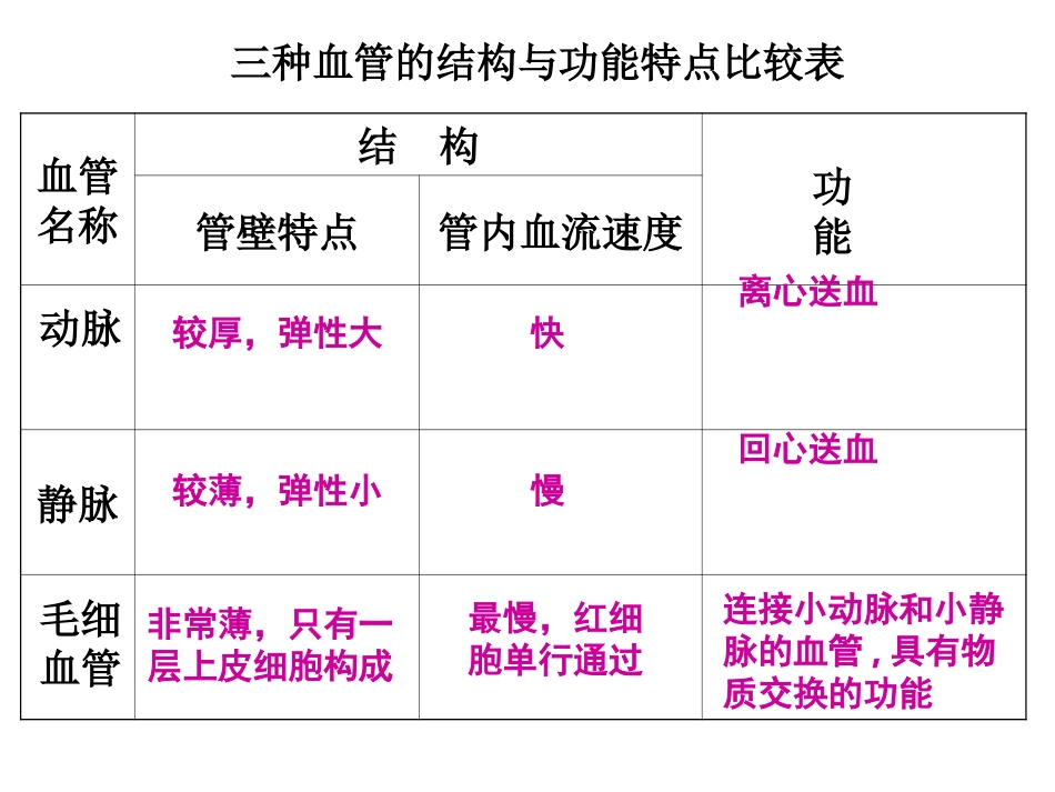 三种血管对比_第1页