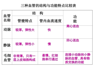 三种血管对比