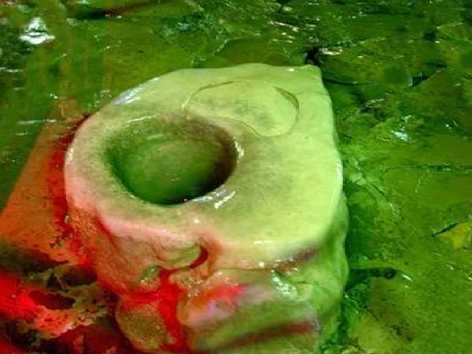 滴水穿石的启示 (5)_第3页