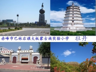 牡丹（画风）