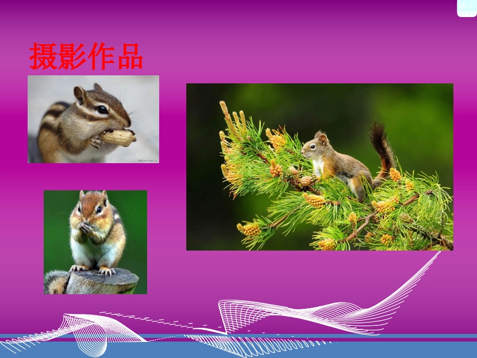 黄金分割比及其应用_第1页