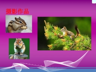 黄金分割比及其应用
