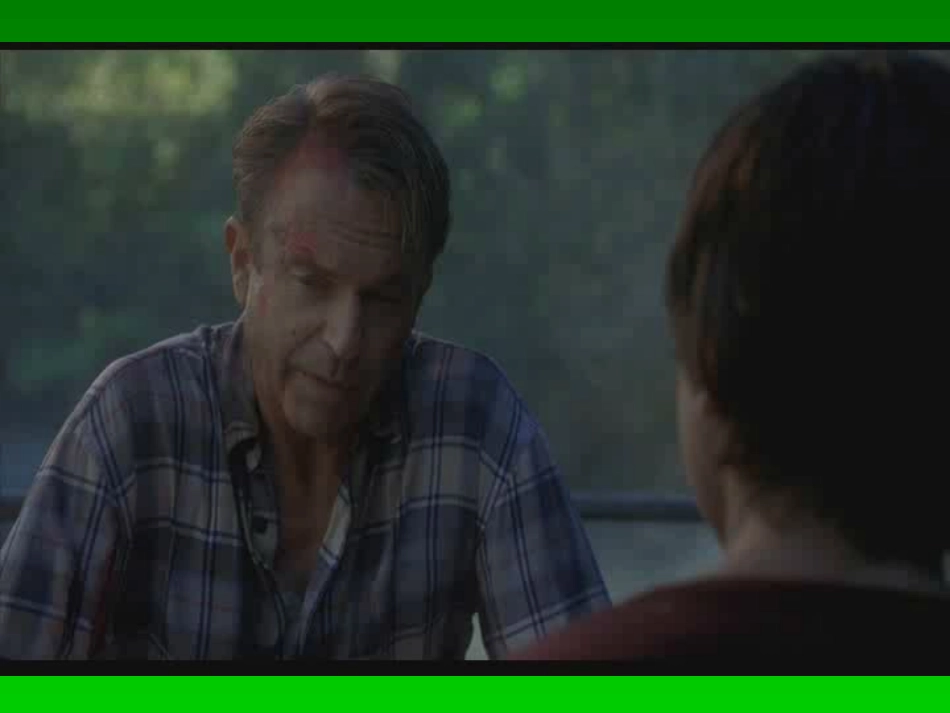 恐龙无处不在课件_第2页