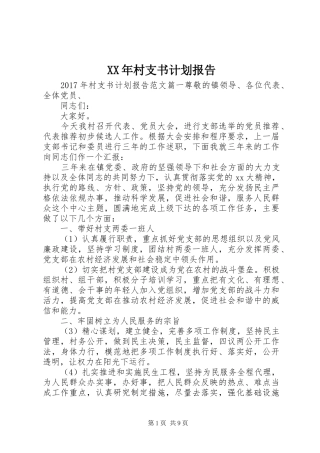 XX年村支书计划报告