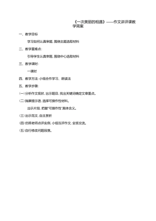 《一次美丽的相遇》作文指导课