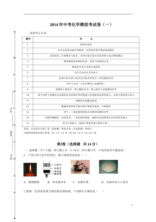 2015陕西中考化学模拟题（一）