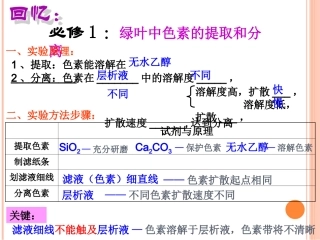 胡萝卜素的提取