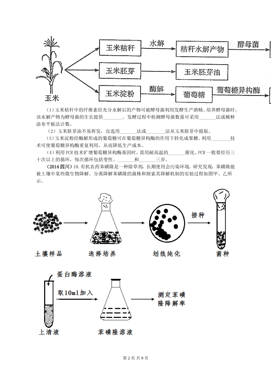 《选修1：生物技术实践》历年真题_第2页