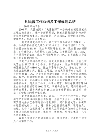 县民营工作总结及工作规划总结