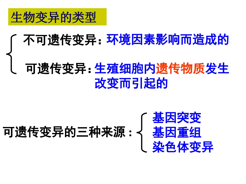 基因突变和重组_第2页
