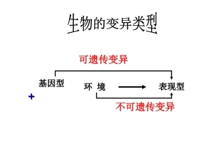 基因突变和重组