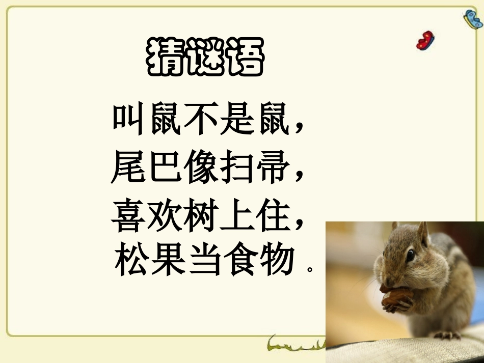 小学语文六年级上册《跑进家来的松鼠》课件_第1页