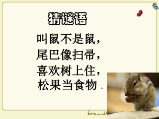 小学语文六年级上册《跑进家来的松鼠》课件